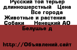 Русский той-терьер длинношерстный › Цена ­ 7 000 - Все города Животные и растения » Собаки   . Ненецкий АО,Белушье д.